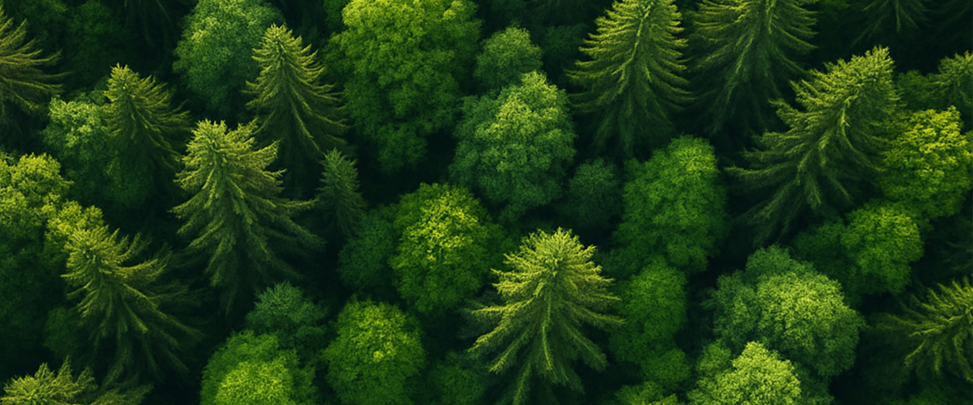 Earth from space